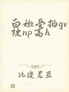 白嫩受拍gv片被np高h