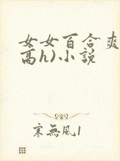 女女百合爽文(高h)小说