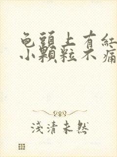 龟头上有红色的小颗粒不痛不痒封面