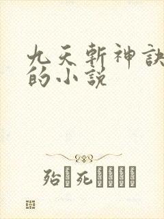 九天斩神诀林辰的小说