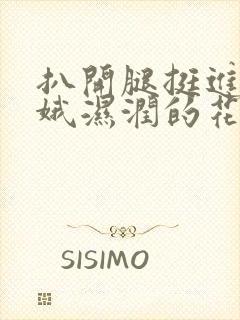 扒开腿挺进娄晓娥湿润的花苞