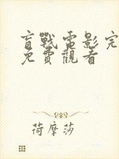 盲战电影完整版免费观看