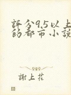 评分9.5以上的都市小说封面