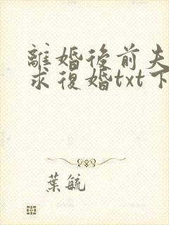离婚后前夫哭着求复婚txt下载完本
