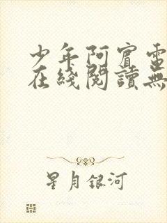 少年阿宾电子书在线阅读无删减封面