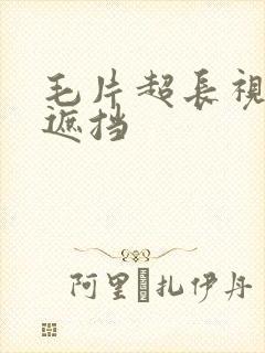 毛片超长视频无遮挡