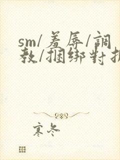 sm/羞辱/调教/捆绑对折