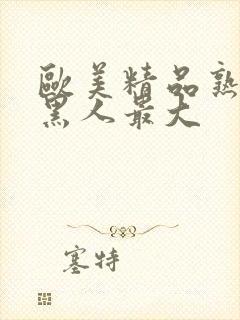 欧美精品熟妇乱黑人最大封面