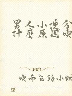 男人小便分叉是什么原因吃什么药