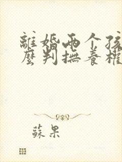 离婚两个孩子怎么判抚养权