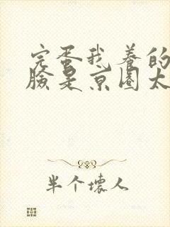 完蛋我养的小白脸是京圈太子爷短剧