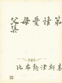 父母爱情第16集封面
