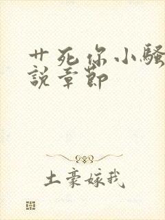 艹死你小骚货小说章节