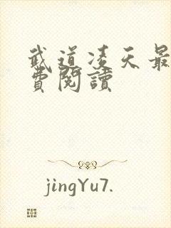 武道凌天最新免费阅读