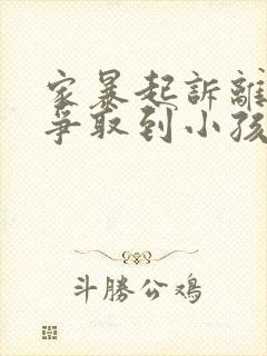 家暴起诉离婚能争取到小孩抚养权么