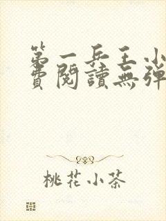 第一兵王小说免费阅读无弹窗