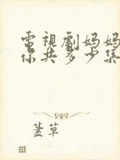 电视剧妈妈在等你共多少集封面