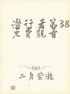 潜行者第38集免费观看