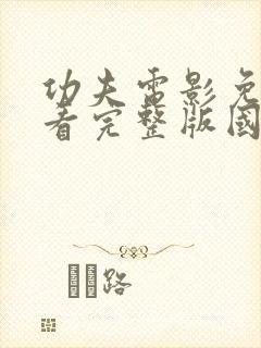 功夫电影免费观看完整版国语高清