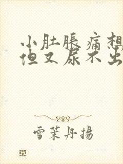 小肚胀痛想尿尿但又尿不出来封面