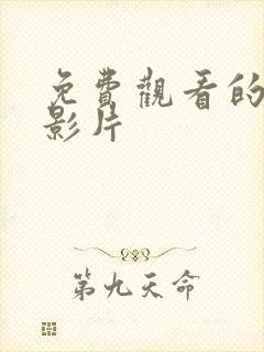 免费观看的av影片封面