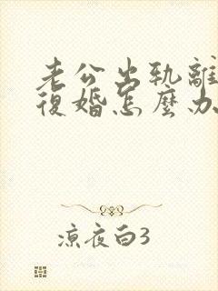 老公出轨离婚要复婚怎么办封面