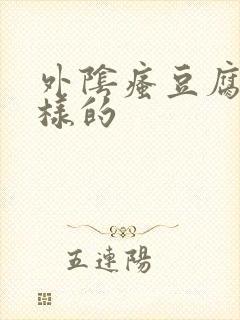 外阴瘙豆腐渣一样的