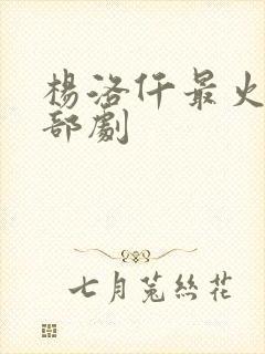 杨洛仟最火的三部剧