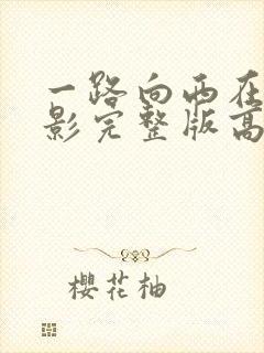 一路向西在线电影完整版高清免费播放封面