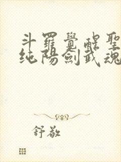 斗罗觉醒圣主和纯阳剑武魂