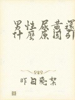 男性尿黄还疼是什么原因引起的