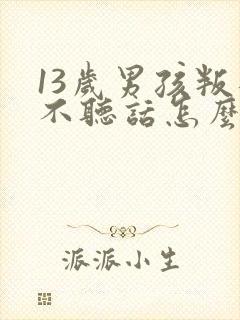 13岁男孩叛逆不听话怎么办封面