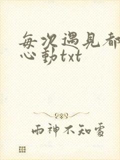 每次遇见都让我心动txt