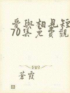 爱与相见短剧第70集免费观看