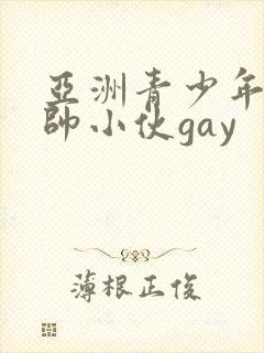 亚洲青少年同性帅小伙gay