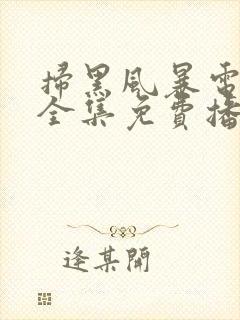 扫黑风暴电视剧全集免费播放封面