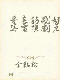 爱来的刚好60集电视剧免费观看