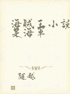 海贼王小说主角是海军封面