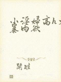 小淫妇高h文黄暴肉欲封面