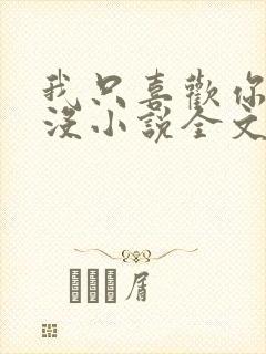 我只喜欢你的人没小说全文免费阅读