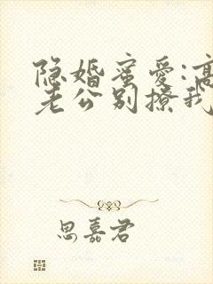 隐婚蜜爱:高冷老公别撩我