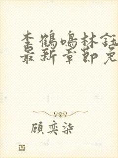 李鹤鸣林钰小说最新章节免费阅读