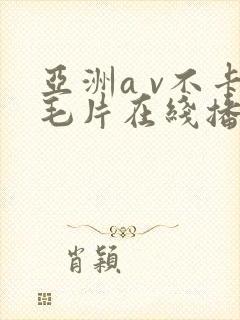 亚洲a v不卡毛片在线播放