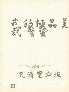 我的极品美女总裁 惊蛰封面