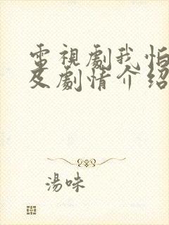 电视剧我怕来不及剧情介绍