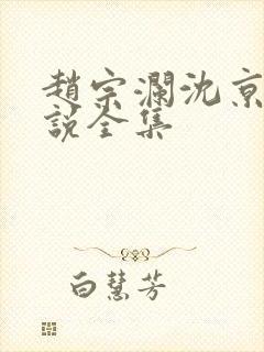 赵宗澜沈京霓小说全集