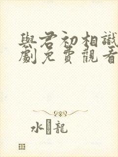 与君初相识电视剧免费观看全集在线封面