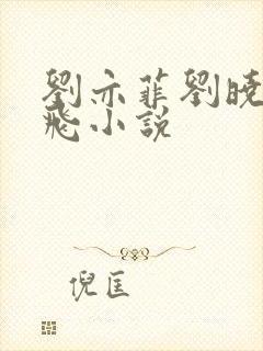 刘亦菲刘晓莉双飞小说封面