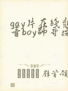 gay片在线观看boy帅哥操