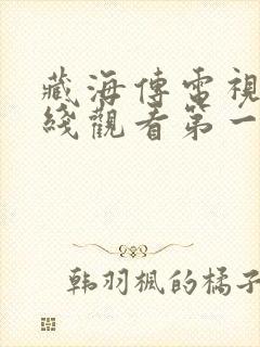 藏海传电视剧在线观看第一集免费